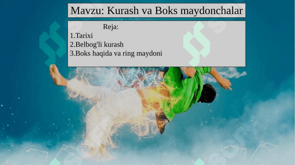 Kurash va Boks maydonchalar 2