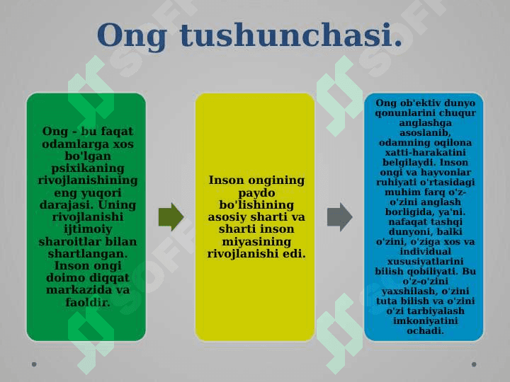 Ong va uning rivojlanishi 3