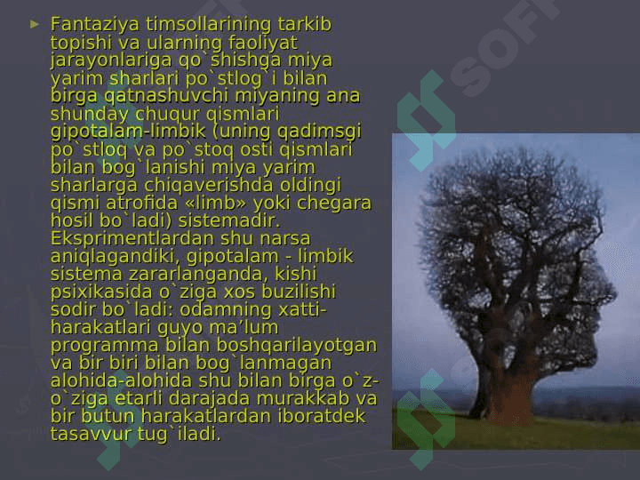 Hayol haqida tushuncha 8