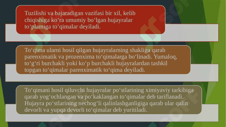 O’simlik organlari va ularning vazifalari 2