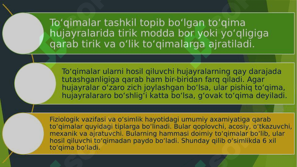 O’simlik organlari va ularning vazifalari 3