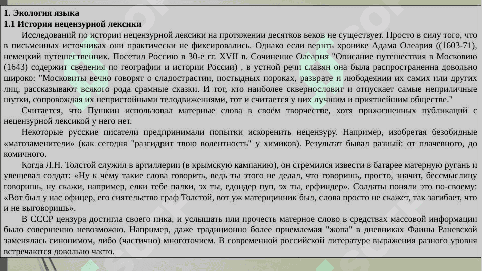 Экология языка и речи 4