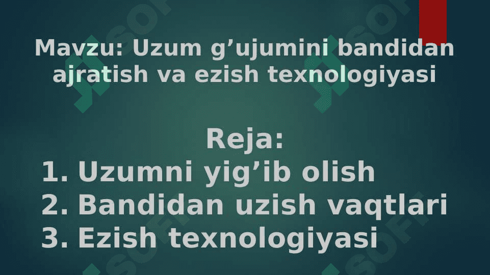 Uzumni yigib olish 2