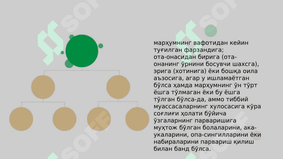 Mehnat shartnomasi. Taraflarning moddiy javobgarligi 6