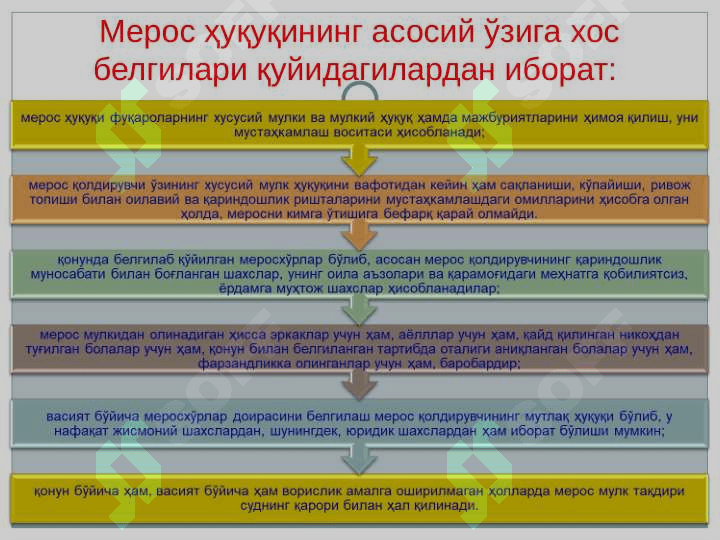 Ворислик хукуки 6