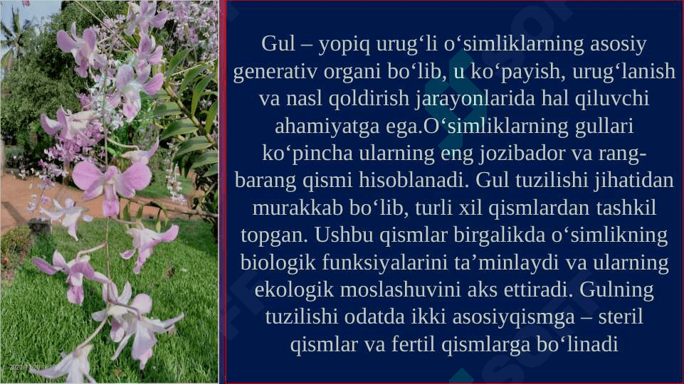 Gulning tuzilishi. Gul diagrammasi va formulalarini tuzish 3