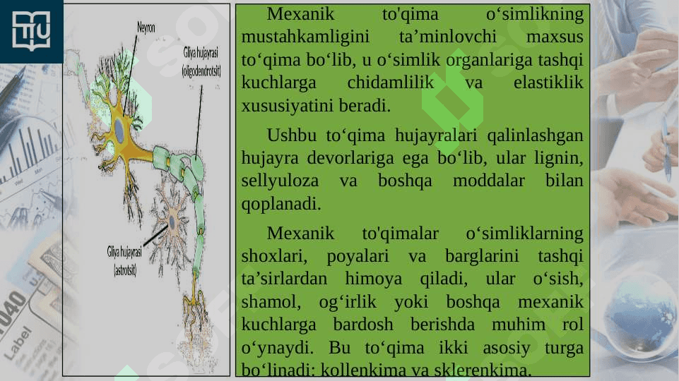 Mexanik to‘qima 3