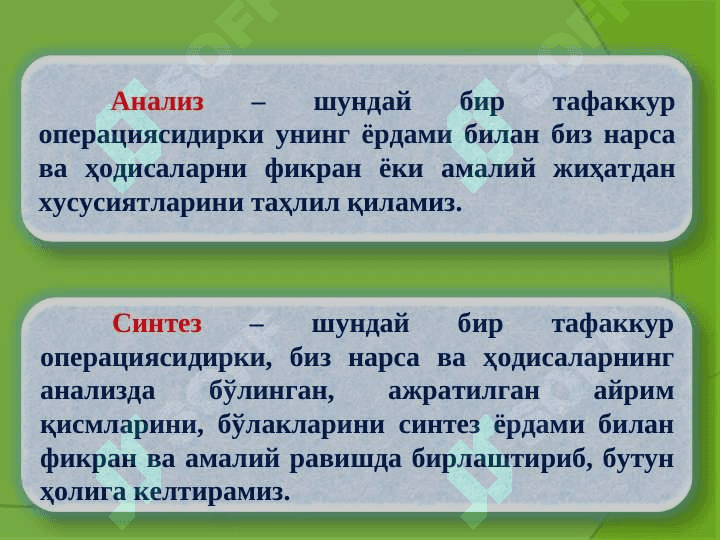 Tafakkur 6