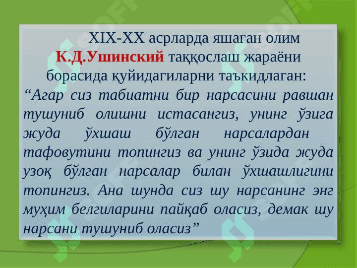 Tafakkur 8