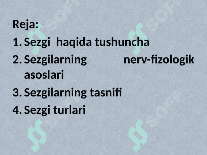 Sezgi 2