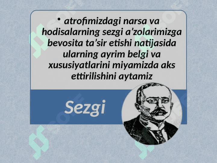 Sezgi 3
