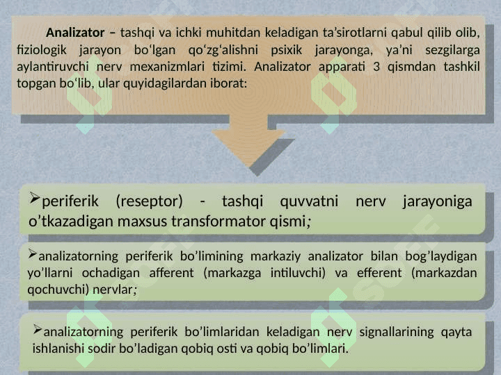 Sezgi 5