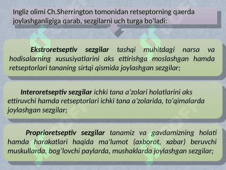 Sezgi 6