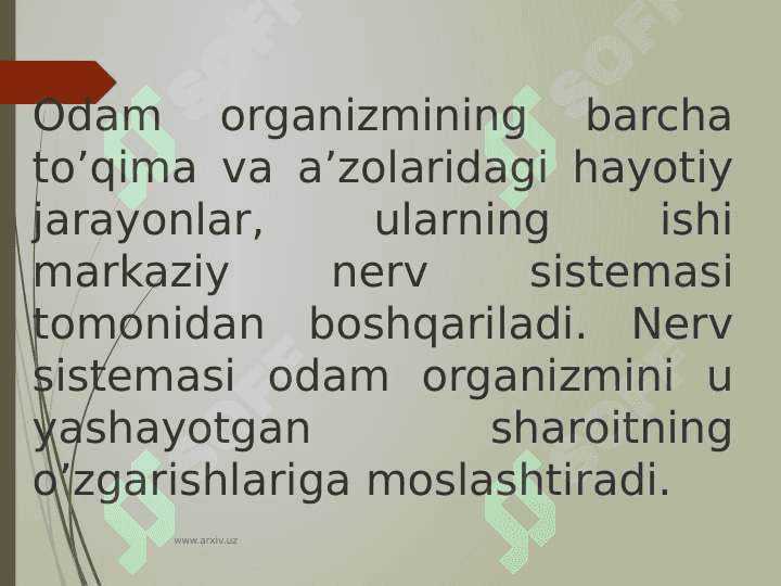 Irsiyat va irsiy kasalliklar. Nerv tizimining ahamiyati va gigiyenasi 4