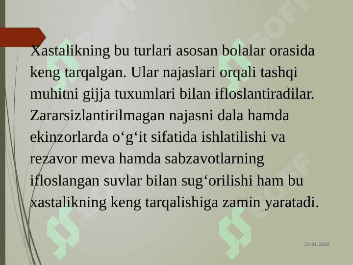 Odam parazitlari 6
