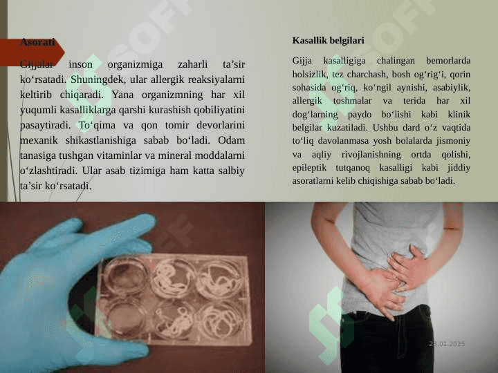 Odam parazitlari 8
