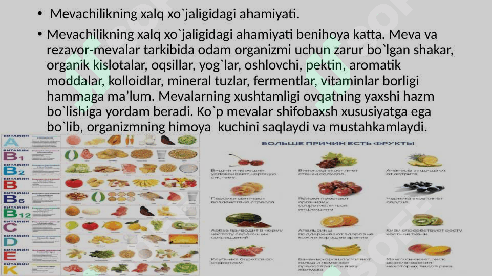 Mevachilikni xalq xo’jaligidagi ahamiyati,  hozirgi ahvoli va rivojlanish istiqbollari 7