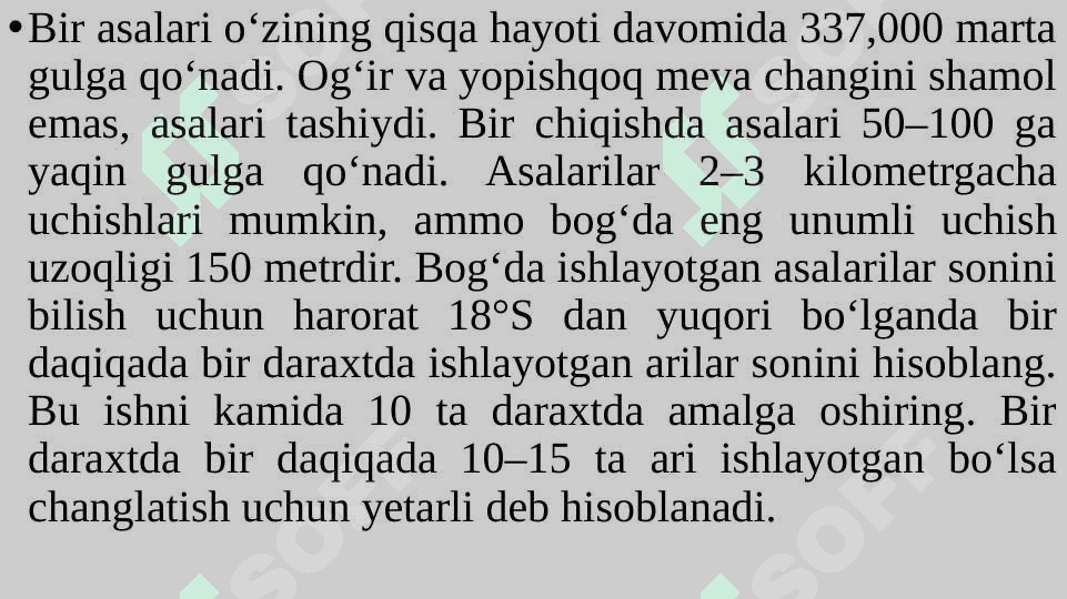 Intensiv meva ekinlarining hosilini parvarish qilish 3