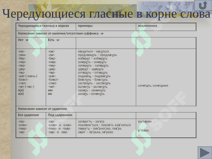В таблицах   и алгоритмах 6