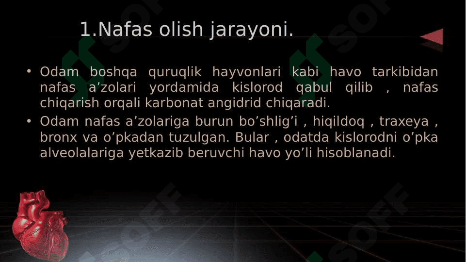 Nafas olish jarayoni. Nafas olish a’zolarining rentgen anatomiyasi va rivojlanish nuqsonlari. 3