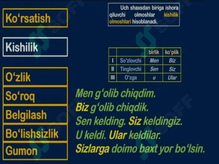 Olmoshning ta’rifi, leksik-grammatik xususiyatlari 7