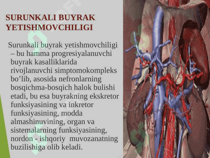 Surunkali buyrak yetishmovchiligi 2