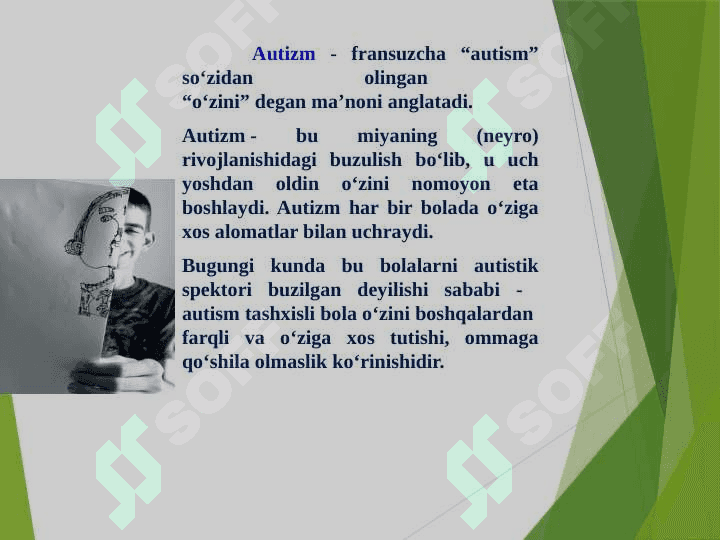 Turli darajadagi intellektual yetishmovchiligi bo‘lgan bolalar, autistik spektr buzilishlariga ega bolalar uchun inklyuziv  ta’lim 3