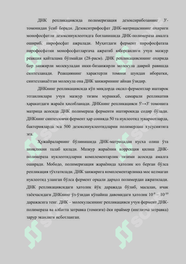 ДНК РЕПЛИКАЦИЯСИ 2