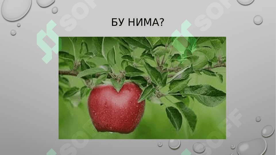ИДРОК ҲАҚИДА ТУШУНЧА 6