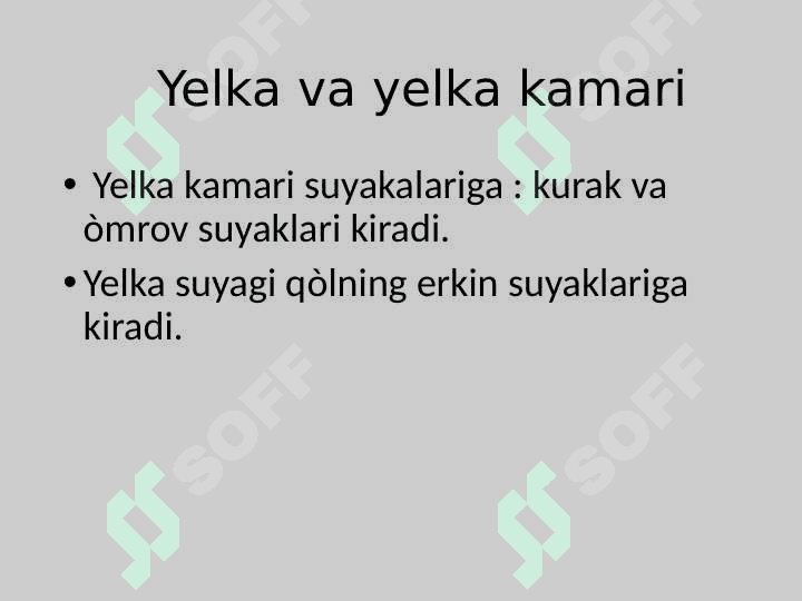 Yelka va yelka kamari shikastlanishi 2