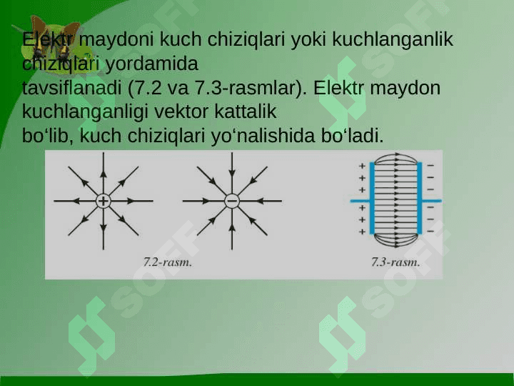 Elektr maydoni to’g’risida tushunchalar. Yerning magnit maydoni. 4