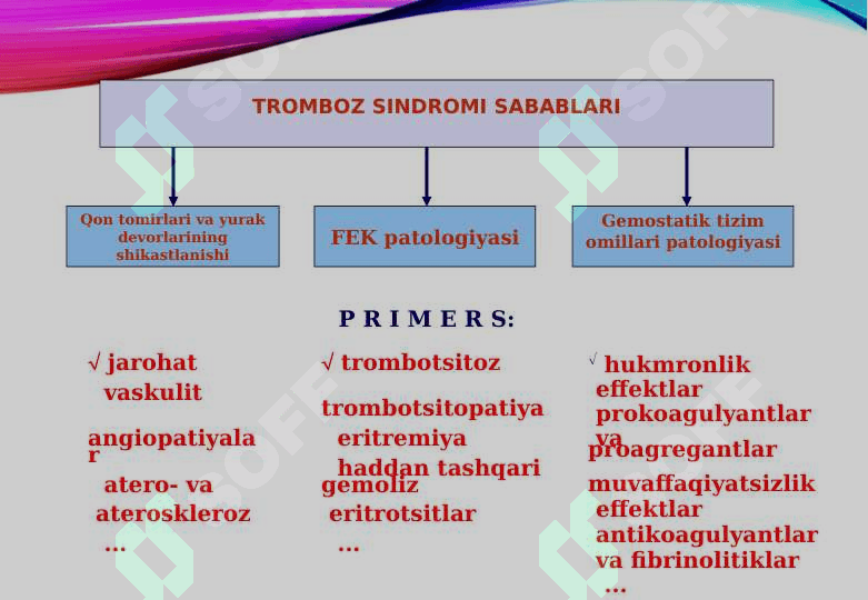 GEMORAGIK DIATEZLAR. TROMBOTSITOPENIYALAR  IMMUN VA NOIMMUN TURLARI. IDIOPATIK TROMBOTSITOPENIK PURPURI. TROMBOTSITOPENIYALAR ORTTIRILGAN VA IRSIY TURLARI 3