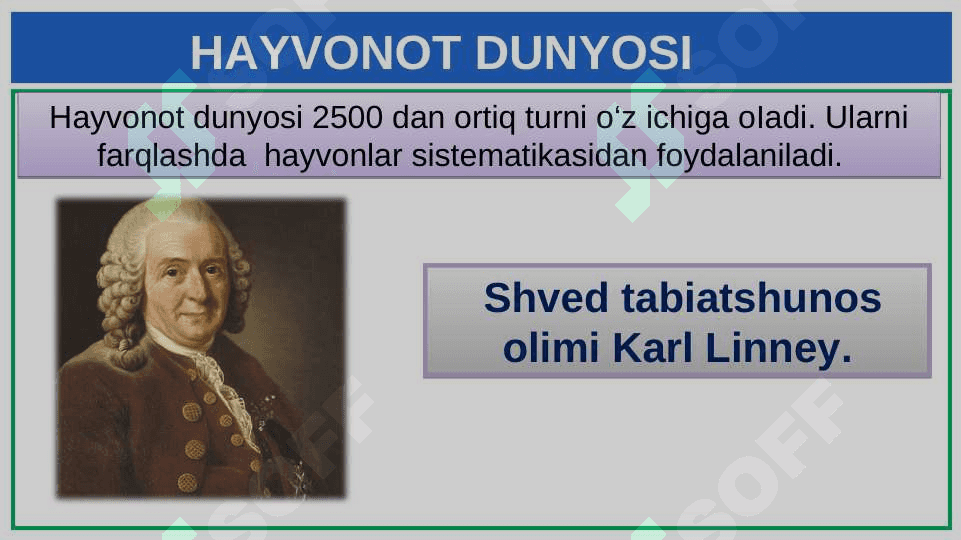 HAYVONOT DUNYOSI 8