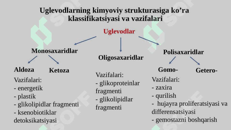Uglevodlar, Lipidlar,  Fermentlar, 2