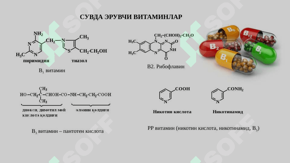 Модда алмашинув жараёнининг бошқарилиши. Биоэнергетика 5
