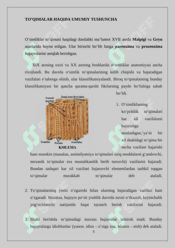 O’SIMLIK TO’QIMALARI 5