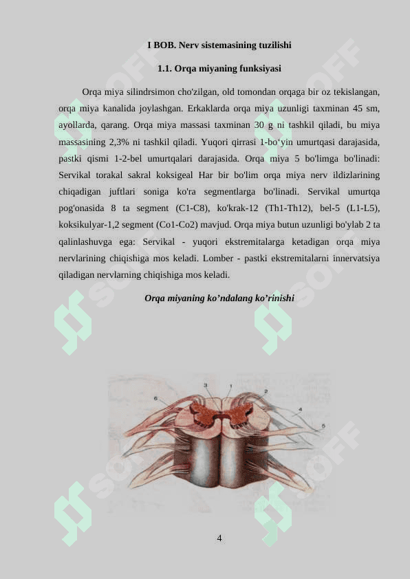 Odam miyasi hujayralaridagi RNK ni taxlili (taxrirlash) 4