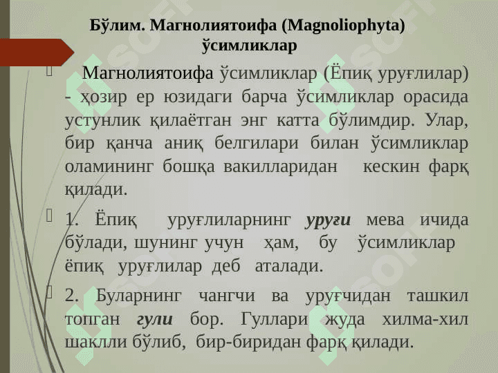 Магнолиятоифа (Magnoliophyta) ўсимликлар бўлими. 4