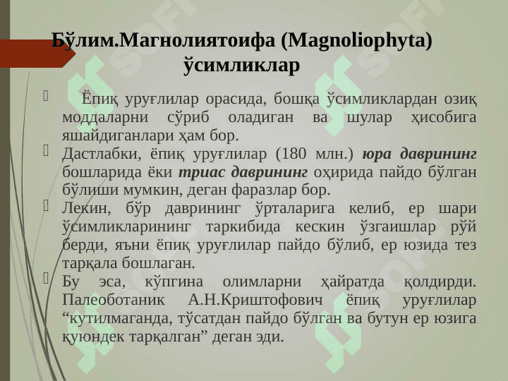 Магнолиятоифа (Magnoliophyta) ўсимликлар бўлими. 7