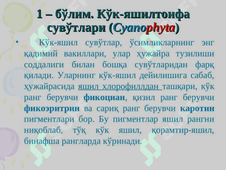 Сувўтлар бўлими 5