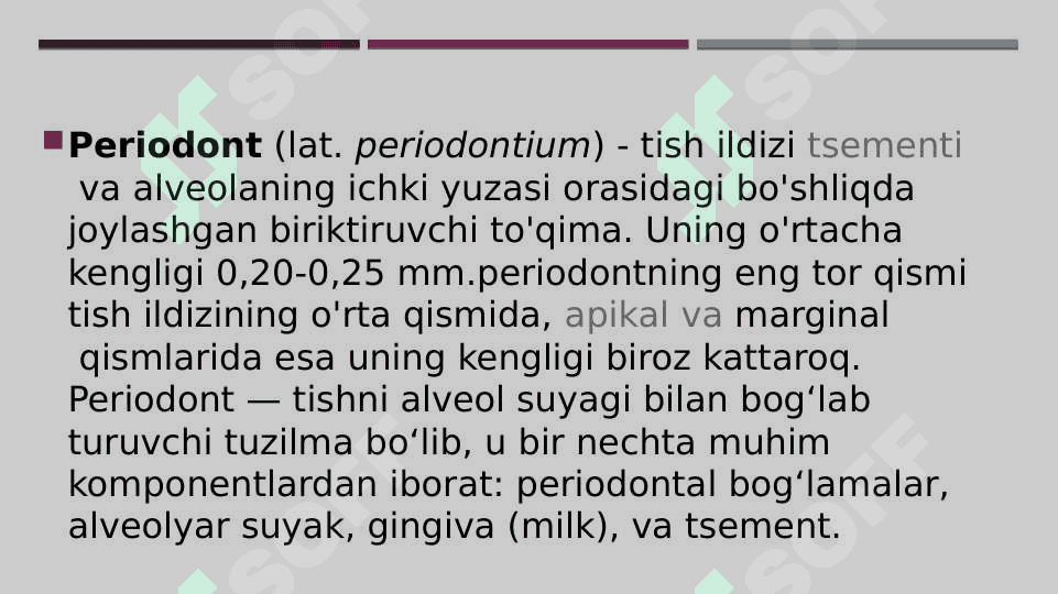 Periodontning gistologik tuzilishi 2