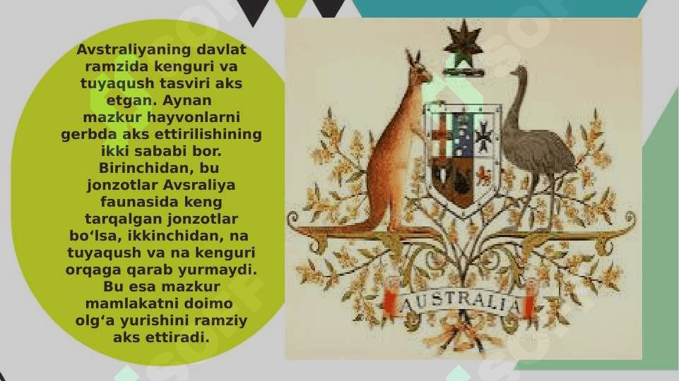 Avstraliya xalqlarining uruf odatlari va marosimlari 3