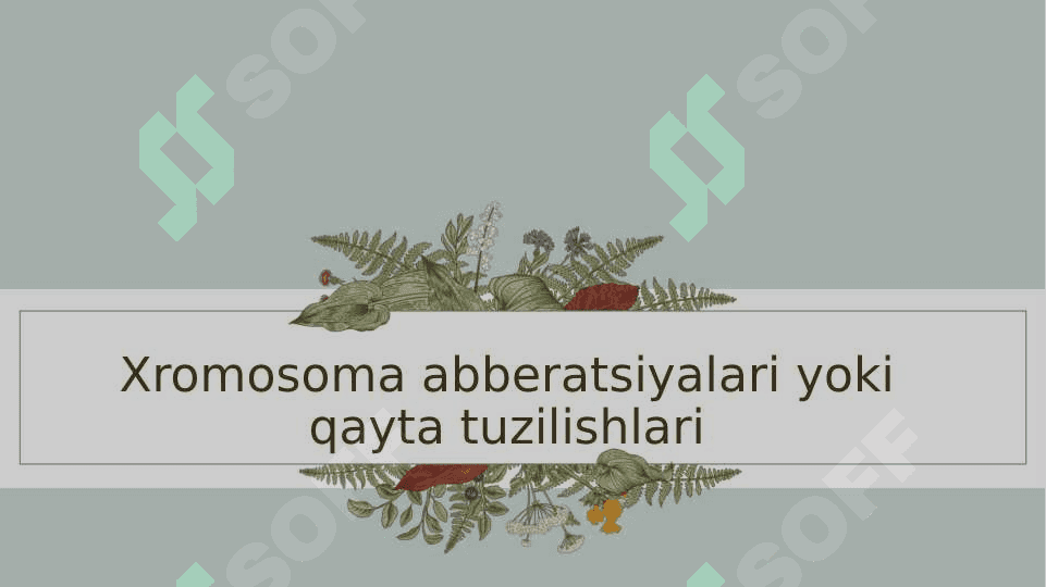 Xromosoma abberatsiyalari yoki qayta tuzilishlari 2