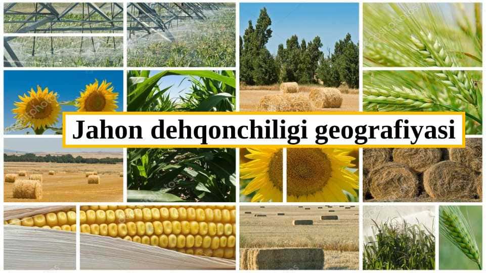 Jahon dehqonchiligi geografiyasi
