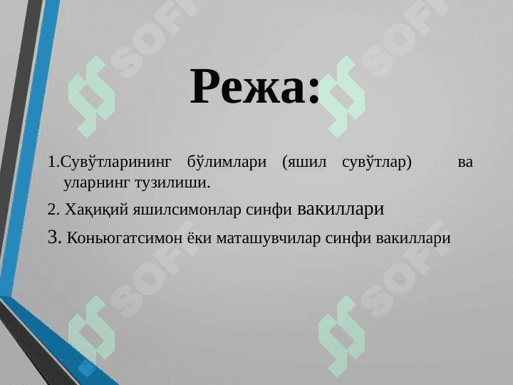 Яшилсувўтлар бўлими 2