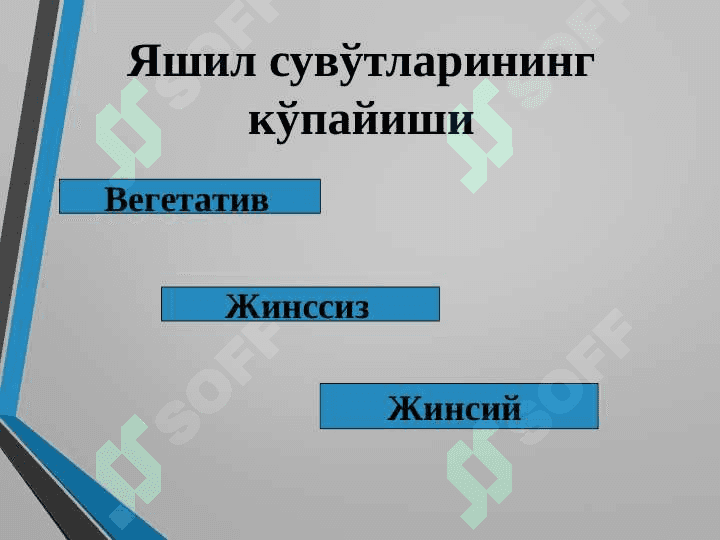 Яшилсувўтлар бўлими 5