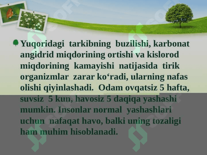 ATMOSFERANING IFLOSLANISH MUAMMOLARI 5
