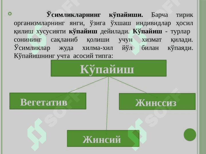 Ўсимликларнинг кўпайиши ва қайта тикланиши 3