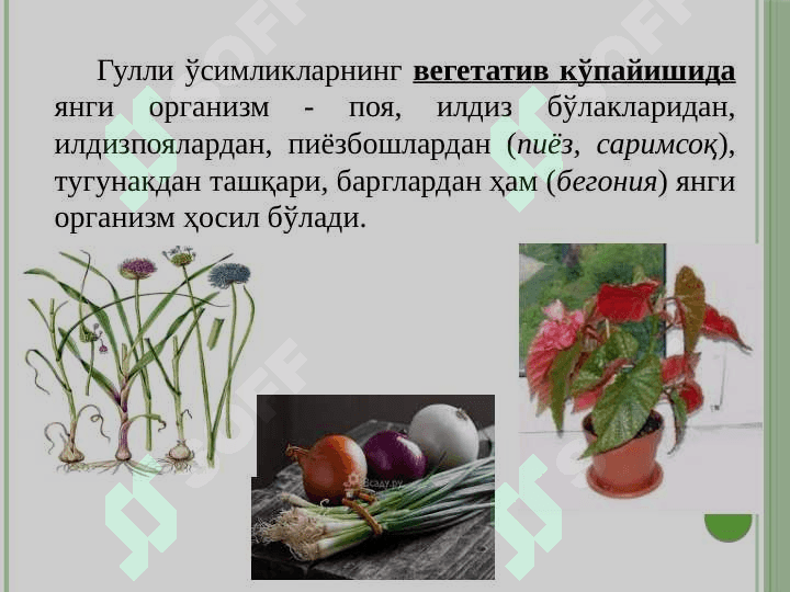 Ўсимликларнинг кўпайиши ва қайта тикланиши 7