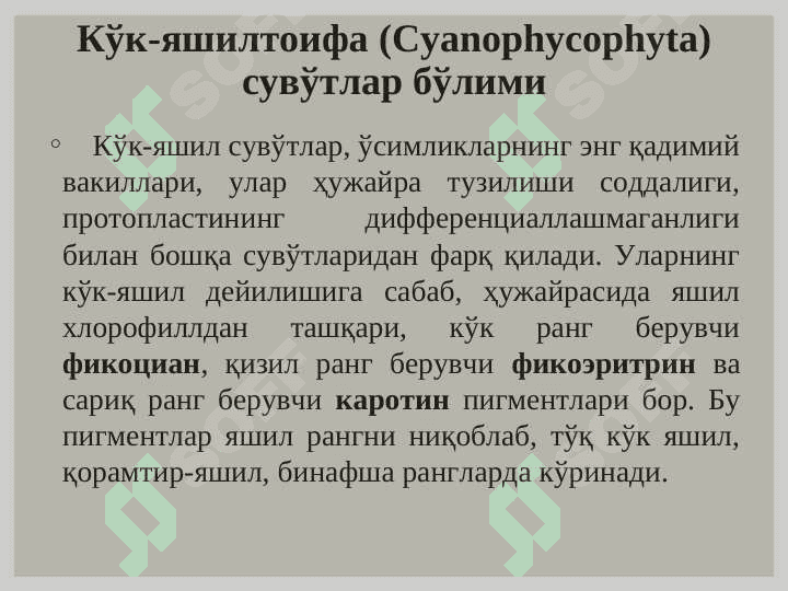 Кўк - яшил сувўтлари (Cyanophyta) бўлими. Қизил сувўтлари (Rhodophyta) бўлими 2
